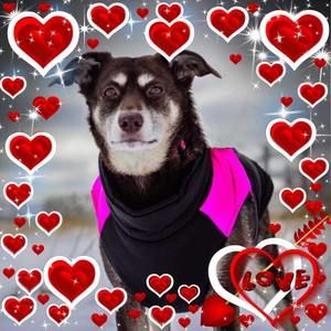 Meet your Posher, Sandra